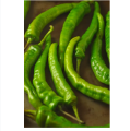Sili Panigang / Siling Haba / 0.7 gram 90-110 pcs Hot Pepper Green / Bicol Express Chili Seeds Herbs Vegetables Plants. 