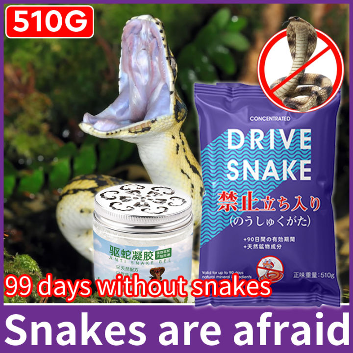 EZ🐍snake smell run🐍Snake repellent Ten Thousand Meters Without snakes