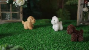 12-24PCS Teddy Dog Plush Toys Stuffed Puppy Dogs Soft Poodle Doll AnimalToy for Adopt a Puppy Party Favors Birthday Gifts