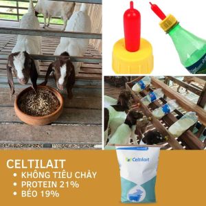 Sữa non thay thế sữa mẹ dùng cho trâu bò dê chó mèo túi 5 kg