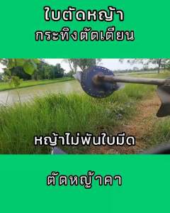 ใบมีดตัดหญ้ากระทิงตัดเตียน ชุดเล็ก ของแท้