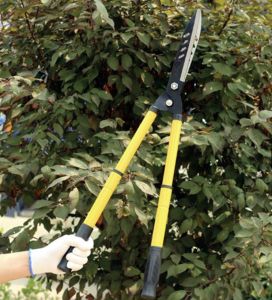 Kéo cắt hàng rào tỉa cỏ lưỡi thép hàng chính hãng