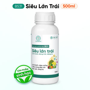 Phân Bón Nuôi Lớn Trái BS31 250ml 500ml - Trái Chắc Khoẻ To Bóng Nặng Kí - Bác Sĩ Cây Xanh