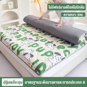 AIBE ที่นอน 3ฟุต 3.5ฟุต 5 ฟุต 6 ฟุต ลายการ์ตูน ที่นอนปิคนิค ราคาถูกที่สุด  พับเก็บได้ หนา แบบนุ่มสบาย ที่นอน สุขภาพ ท๊อปเปอร์ Softtopper