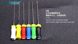 NICEDEN Dental endo files H Files 6pcs/pack 21/25mm Dental Endodontics