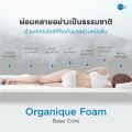 Omazz ที่นอน (สเปคแน่นสบาย) รุ่น Finnovo หนา 13 นิ้ว ส่งฟรี. 