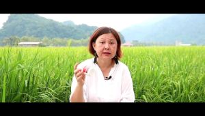 Par Natural Mixed Vegetable - Guava & Radish [100% Natural] Vegetarian