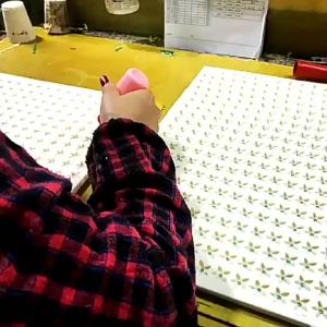 New WomenS 2025 Thick-Soled Perforated Cartoon Slippers WomenS Beach Non-Slip Summer Nurse Closed-Toe Shoes