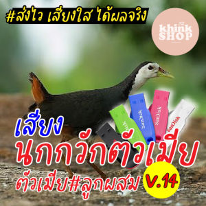 เสียงต่อนกกวักตัวเมีย ลูกผสม แฟลชไดร์ฟเสียง มีเก็บเงิน ปลายทาง