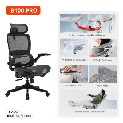 SIHOO B100 Pro Ergonomic Office Chair Mesh Chair Adaptive Lumbar Support Home Office 3 Years Warranty