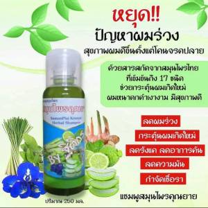 แชมพูสมุนไพรคุณยาย สมุนไพรไทย 17 ชนิด ผมบาง ผมร่าง ผมมัน เร่งผมเกิดใหม่
