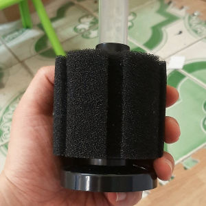 Lọc vi sinh bể cá YU