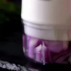 【Wireless】Pelbagai Fungsi Chopper Bawang Putih Elektrik Electric Grinder Mincer automatic garlic crusher Onion Chopper