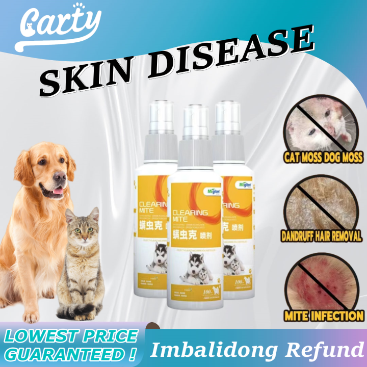 Dandruff Dry Dog Fur Treatment Seborrheic Dermatitis Dog Dandruff