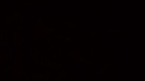 Trà Đinh Ngọc - Lộc Tân Cương - Trà Thái Nguyên cao cấp chuẩn VIETGAP túi 100g