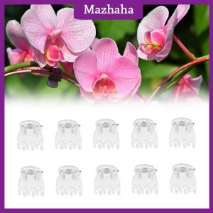 Mazhaha 50Pcs Transparent 6 Claws Orchid Clips Plastic Butterfly Flowers Support Clear Fixer For Garden Vine Stem Plants Climbing