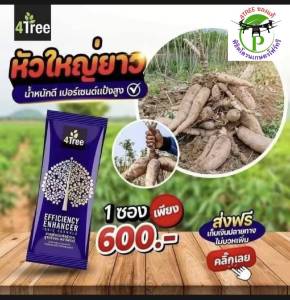 4Tree (โฟร์ทรี) 1 ซอง ใช้ได้ 15-20 ไร่ สารเสริมประสิทธิภาพ พืชโตเร็ว จากประเทศ อิสราเอล ของเเท้100% พร้อมส่งทุกวัน