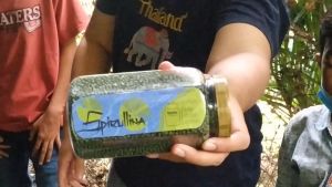 Pakan Pelet Makanan Ikan Koi [SPIRULINA] Ekstrak BAWANG PUTIH  [TOPLES BIG SIZE 350] IKANESIA