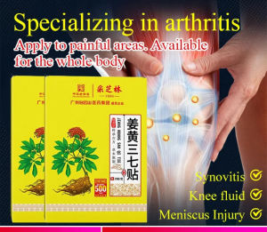 biaozhen Cai Zhilin Turmeric Panax Notoginseng Patch joint pain relief