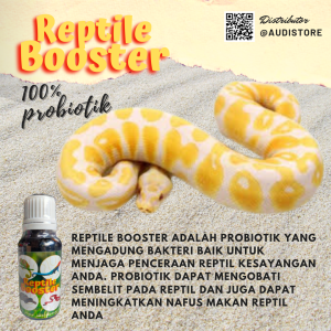 Reptile Booster Nutrisi Reptil 20ml