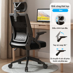 ghế cong thái học ghế xoay tựa lưng giá rẻ ghế ngồi văn phòng ghế ngồi học Tiện lợi giá rẻ chắc chắn vận chuyển nhanh