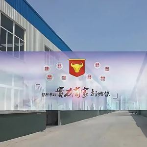 【大容量】U盘128G电脑两用u盘车载音响视频通用256G高速优盘