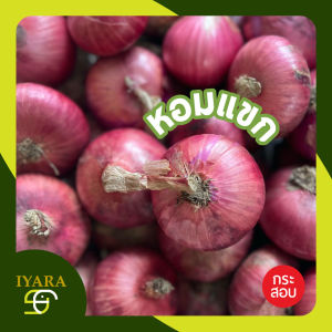 แขกจีน หอมแขกหัวใหญ่ ยกกระสอบ น้ำหนัก9.5-10กิโลกรัม ของใหม่ เนื้อแน่น