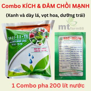 Combo đâm chồi mạnh đẻ nhánh phát đọt mạnh xanh lá mướt lá dày lá vọt hoa dưỡng trái lớn nhanh bóng đẹp