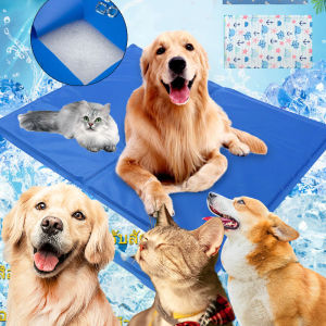 เบี้ยเจลเย็น สำหรับสัตว์เลี้ยง แผ่นเจลเย็นแมว ที่นอนเจลเย็น สำหรับสัตว์เลี้ยง