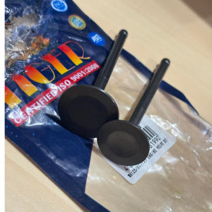TIGER ENGINE VALVE SET (ALL MODEL)