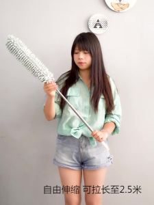 Chicken feather duster dust removal cleaning tool for household use extendable and non shedding static electricity car mounted dust collector