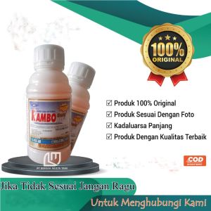 Rambo 480 SL Herbisida Sistemik Pembasmi Rumput Paling Ampuh Sampai Akar 500 ml