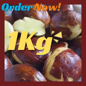 JENGKOL SUPER JENGKOL TUA MENTAH 1000G (1Kilo) JENGKOL 1Kg