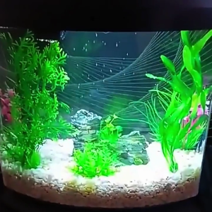 Aquarium Landscape Grass Plastic Aquariums Decorations Art Crafts Terrarium Habitat Ornaments Photo Props