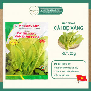 [EcoSeeds] Combo 2 Gói Hạt Giống Cải Bẹ Vàng Nam Định - Cao Sản Thích Hợp Mọi Vùng Khí Hậu - Gói 20g