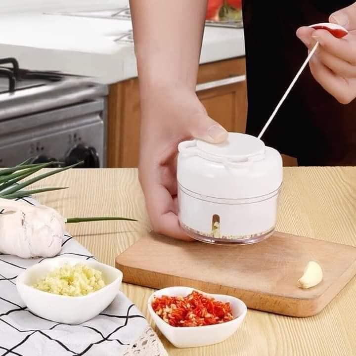 MINI MANUAL GARLIC CHOPPER ORIGINÁL Lazada PH