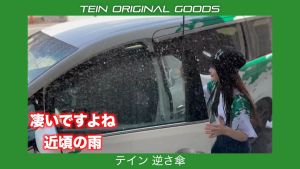 TEIN Reverse Umbrella TN021-004 Inverted Umbrella Japan Car Use Windproof Rain Umbrella