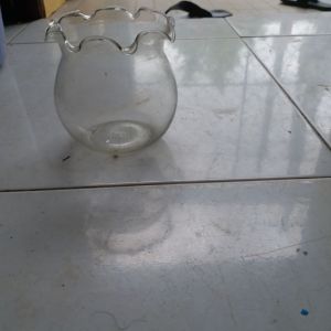 Bình Đựng cá để bàn