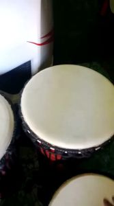 Djimbe ukir khas blitar/original /ekspor ke luar negri/ ukuran 50x24-25/ promo