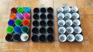 เซ็ท ถาดเพาะ 4 นิ้ว พร้อมกระถาง 4 นิ้ว 15 ใบ มี 3 ตัวเลือก