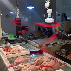 พัดลมแขวนไล่แมลงวัน พัดลมไล่แมลงวัน มอเตอร์ไล่แมลงวัน พัดลมแขวนไล่แมลงวัน แมลงวันกัน