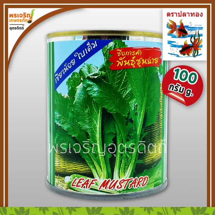 เมล็ดผักกาดเขียว ชุนฉ่าย เขียวน้อย ตราปลาทอง