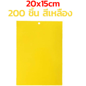 ที่ดักแมลง กาวดักแมลงวัน สองด้าน แผ่นกาวดักแมลง 50/100/200/500แผ่น กับดักแมลงกินผัก เหนียวกับดักแ ดักแมลงศัตรูพืช กับดักแมลงวัน กา