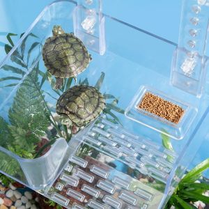 OUTOPEN Transparent Tortoise Climbing Basking Platform Acrylic With Ramp Suction Cups Hanging Turtle Platform Stable Non-Slip Aquatic Turtle and Fish Co-culture Terrace Aquatic Turtles Terrace