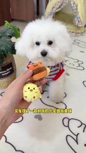 Cartoon Squeaky Spike Ball Dog ToyMolar Teeth Cleaning Boredom Relief