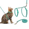 READY SEMUA WARNA TALI KUCING HARNESS O TALI TUNTUN KUCING ANJING HARNES LONCENG. 