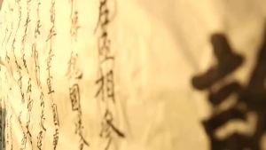 山茶油宝宝茶油农家自榨纯正野山茶籽油物理压榨茶子油厂家直销