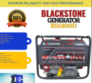 BLACKSTONE GASOLINE GENERATOR SET 4 STROKE MANUAL / ESTART