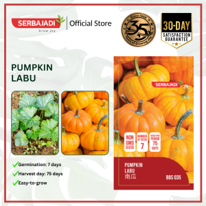 Serbajadi Vegetable Seed Pumpkin | Fruiting Vegetable Seed | Creeping Planting | Orange Pumpkin | Normal Pumpkin | Biji Benih Labu | 南瓜子 | 1g