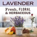 Mrs Meyer Multi Surface Cleaner Lavender 473ml. 